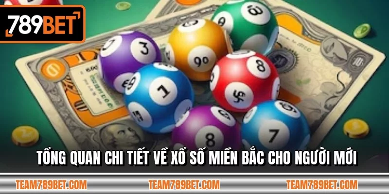 Tổng quan chi tiết về xổ số miền bắc cho người mới Tổng quan chi tiết về xổ số miền bắc cho người mới