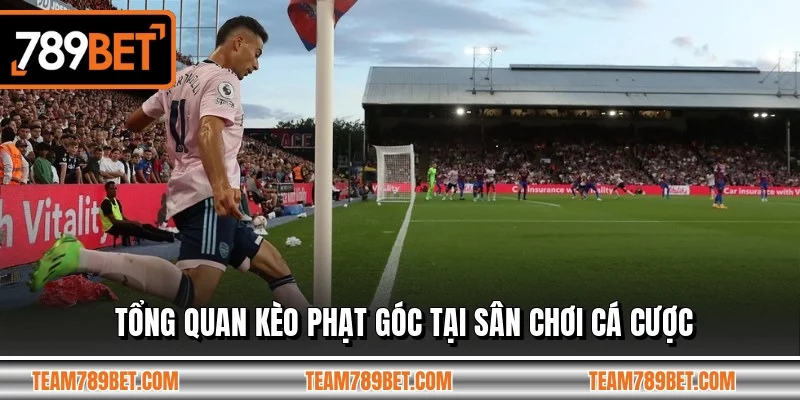 Tổng quan kèo phạt góc tại sân chơi cá cược Tổng quan kèo phạt góc tại sân chơi cá cược